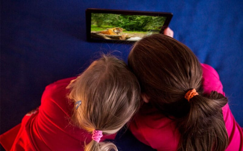 girls watching wildlife video