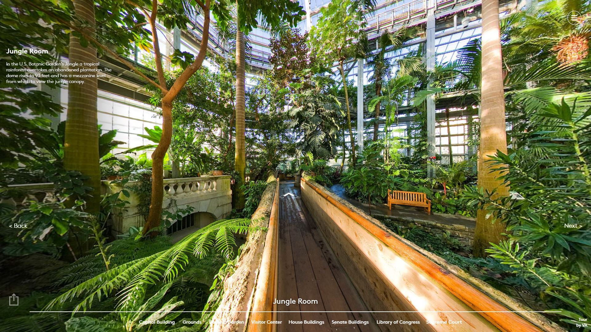 jungle room